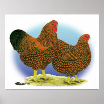 Wyandotte:  Golden-laced Pair Posters