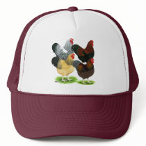Wyandotte:  Rooster Assortment Trucker Hat