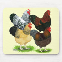 Wyandotte:  Rooster Assortment Mousepads