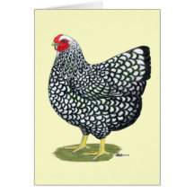Wyandotte:  Silver-laced Hen Greeting Card