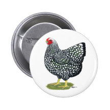 Wyandotte:  Silver-laced Hen Pinback Button