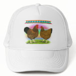 Wyandottes:  Golden-laced Rainbow hats