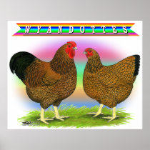 Wyandottes:  Golden-laced Rainbow Posters