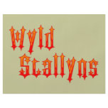 Wyld Stallyns flyers