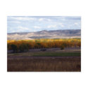 Wyoming Autumn postcards by rdwnggrl Wyoming Autumn postcards