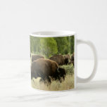 Wyoming Bison Nature Animal Photography Coffee Mug