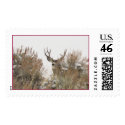 Wyoming Deer postage by jsmullen Wyoming Deer postage