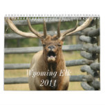 Wyoming Elk 2011 Calendars