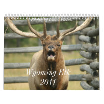 Wyoming Elk 2011 Calendars
