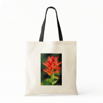 Wyoming Paintbrush bags