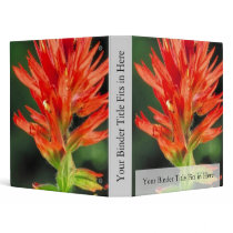 Wyoming Paintbrush Binders