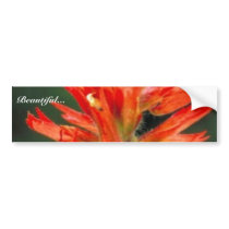 Wyoming Paintbrush bumper stickers