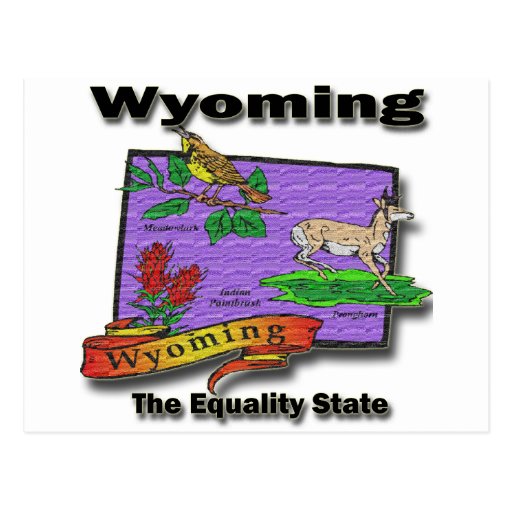 Wyoming The Equality State Bird Dear Bush Postcard Zazzle 6749