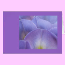 Wysteria 2 Blank Card