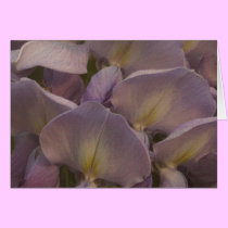 Wysteria Blank Card