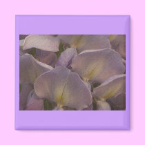 Wysteria Magnet magnets