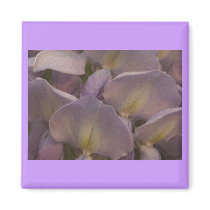 Wysteria Magnet by MidnightAkita Wysteria Magnet