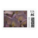 Wysteria Stamp by MidnightAkita Wysteria Stamp