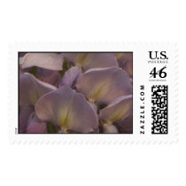 Wysteria Stamp