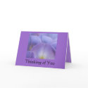 Wysteria Sympathy Card by MidnightAkita Wysteria Sympathy Card