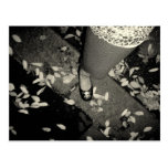 x foot post cards