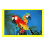 X Marks the Spot Parrots