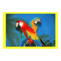 X Marks the Spot Parrots posters