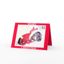 X MAS CHRISTMAS CARDS - HEIDI PUP - DASCHUND MINI