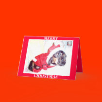 X MAS CHRISTMAS CARDS - HEIDI PUP - DASCHUND MINI by libertydogmerch X MAS CHRISTMAS CARDS - HEIDI PUP - DASCHUND MINI