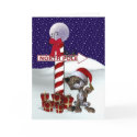 X-Mas Kitten cards