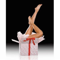x-mas legs photo cut out