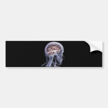 X-Ray Brain Bumper Sticker