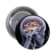X-Ray Brain Pin