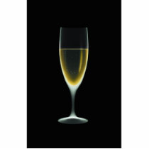X-RAY CELEBRATION CHAMPAGNE Original + Negative photo sculptures