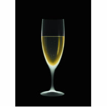X-RAY CELEBRATION CHAMPAGNE Original + Negative Acrylic Cut Outs
