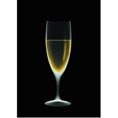 X-RAY CELEBRATION CHAMPAGNE Original + Negative Acrylic Cut Outs by VoXeeD