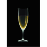 X-RAY CELEBRATION CHAMPAGNE Original + Negative Acrylic Cut Outs