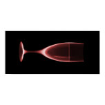 X-RAY CELEBRATION CHAMPAGNE RED