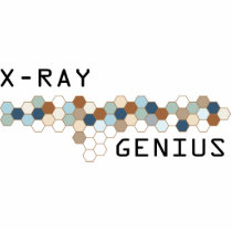 X-Ray Genius Photo Sculptures