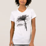 X-Ray of Rose Tees