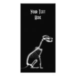 X-RAY PUPPY DOG SKELETON SITTING - B&W PHOTO CARDS