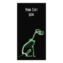 X-RAY PUPPY DOG SKELETON SITTING - GREEN PHOTO CARDS