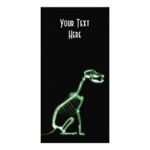 X-RAY PUPPY DOG SKELETON SITTING - GREEN PHOTO CARDS