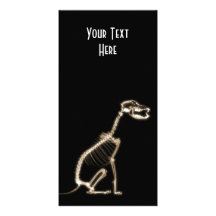 X-RAY PUPPY DOG SKELETON SITTING - SEPIA PHOTO GREETING CARD