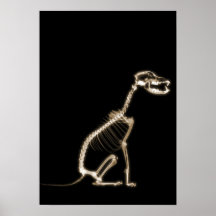 X-RAY PUPPY DOG SKELETON SITTING - SEPIA POSTERS