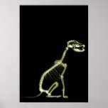 X-RAY PUPPY DOG SKELETON SITTING - YELLOW posters