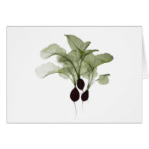 X-ray: Radish notecard cards