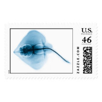 X-ray: Skate stamps