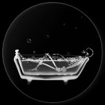 X-Ray Skeleton B&W Bath Time Pins