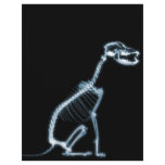 X-RAY SKELETON DOG SITTING - BLUE & BLACK CUSTOMIZED LETTERHEAD